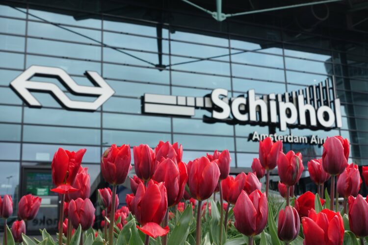 jardim de tulipas na entrada do aeroporto de amsterdam